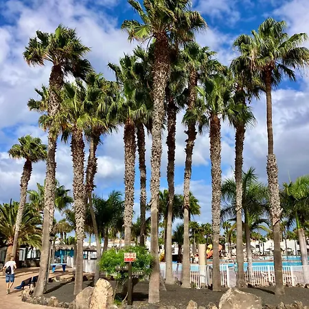 Confortable In דירה *