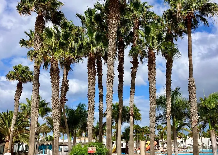 Confortable In Διαμέρισμα *